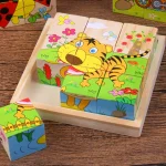 Wooden Blocks Six Side Cube Puzzle