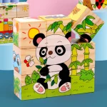 Wooden Blocks Six Side Cube Puzzle