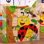 Wooden Blocks Six Side Cube Puzzle