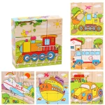 Wooden Blocks Six Side Cube Puzzle