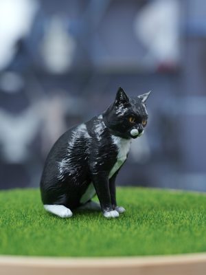 Black Cat Toy left