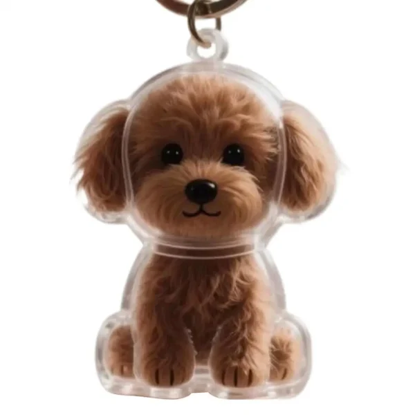 Clear Pet Fur Memorial Keychain for Dog & Cat (5-Pack)