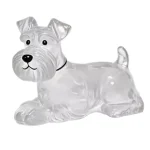 Clear Pet Fur Memorial Keychain for Dog & Cat (5-Pack)