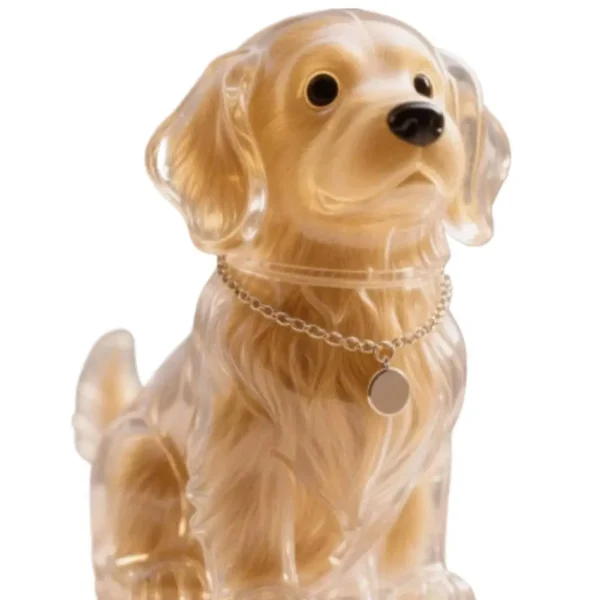 Clear Pet Fur Memorial Keychain for Dog & Cat (5-Pack)