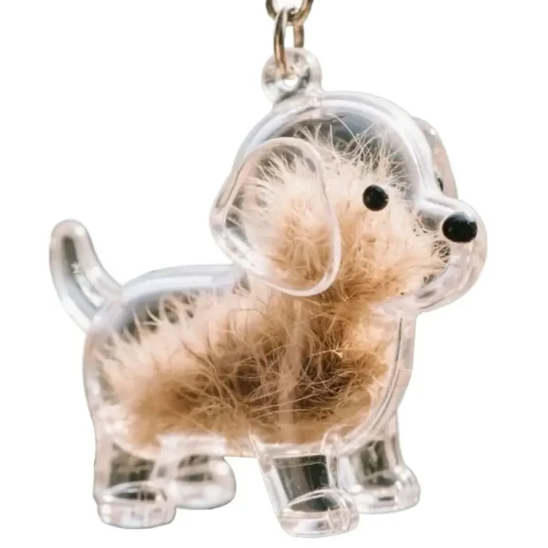 Clear Pet Fur Memorial Keychain for Dog & Cat (5-Pack)