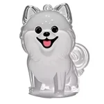 Clear Pet Fur Memorial Keychain for Dog & Cat (5-Pack)