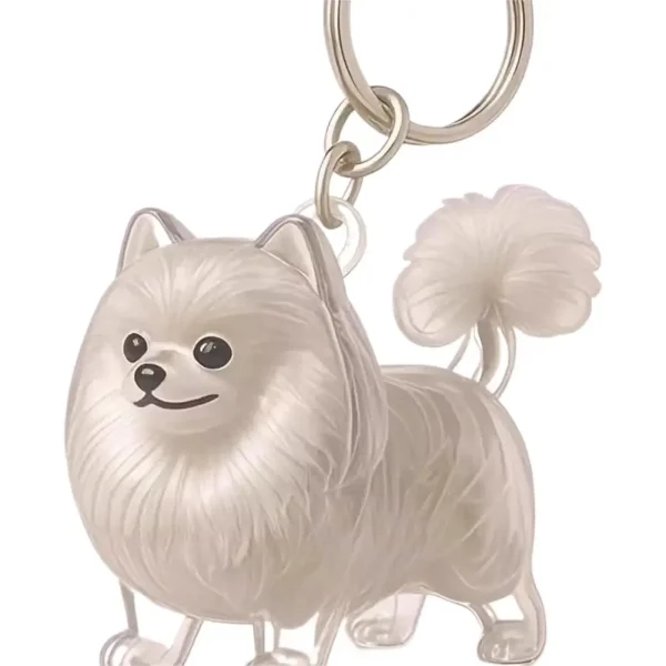Clear Pet Fur Memorial Keychain for Dog & Cat (5-Pack)